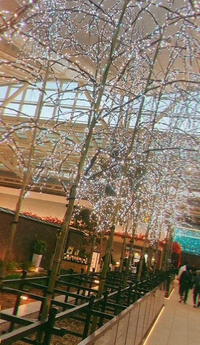 AD3F9568-369B-4676-A656-63EFB528F0FD.jpeg