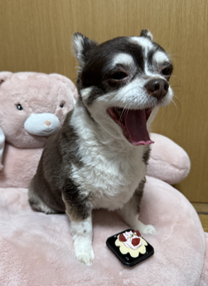 IMG_6591.png
