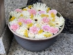 IMG_6745.JPG