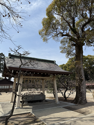 IMG_8063.png